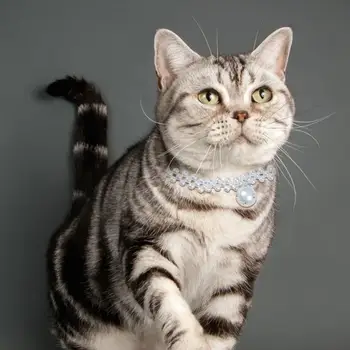 Красивый кошачий ошейник Ожерелье из искусственного жемчуга для домашних животных Реквизит для фотосъемки Кошачий ошейник Без запаха Износостойкий